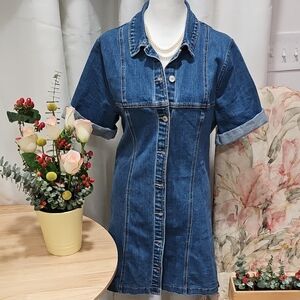 Abecrombie Denim Button-Up Dress
